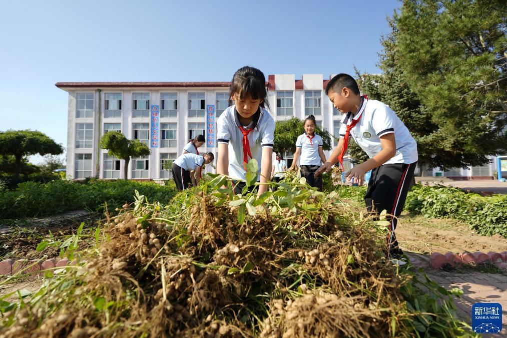 百家乐补牌